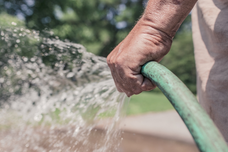 jardinerie-GORBIO-min_garden-hose-413684